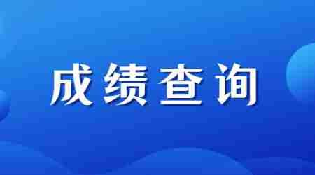 23下教资笔试成绩查询时间：11月8日